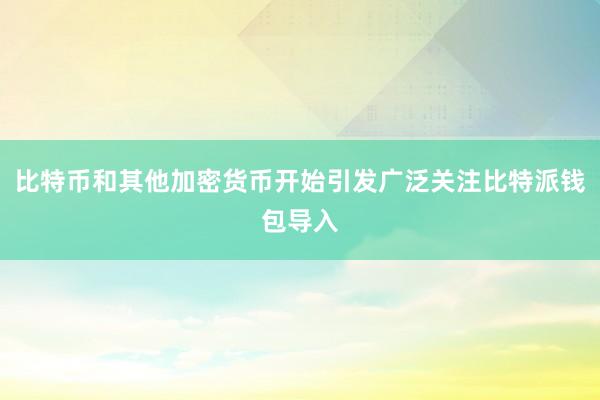 比特币和其他加密货币开始引发广泛关注比特派钱包导入