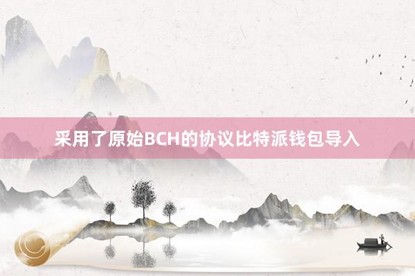 采用了原始BCH的协议比特派钱包导入