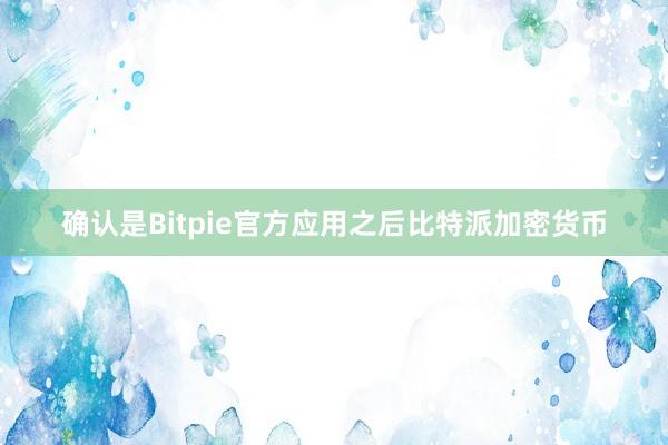 确认是Bitpie官方应用之后比特派加密货币