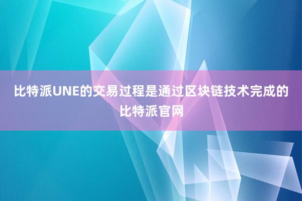 比特派UNE的交易过程是通过区块链技术完成的比特派官网