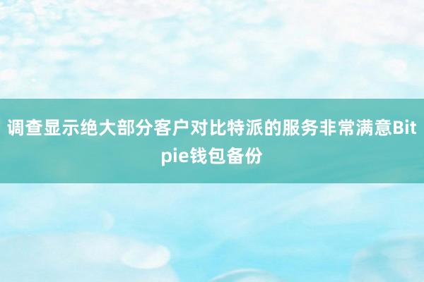 调查显示绝大部分客户对比特派的服务非常满意Bitpie钱包备份