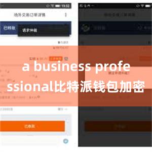 a business professional比特派钱包加密